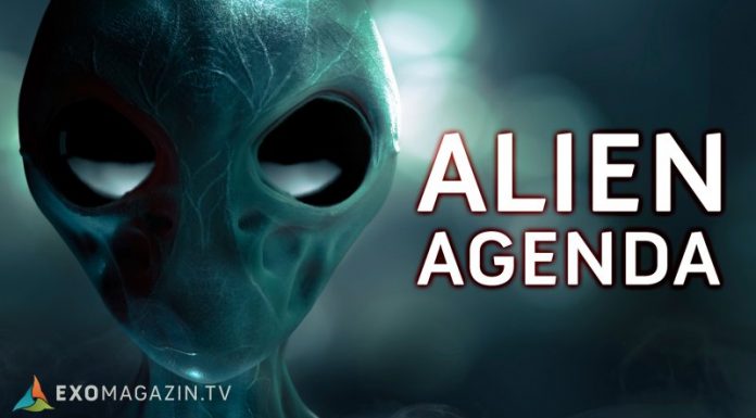 Gibt es eine Agenda der Aliens? Alien_Agenda