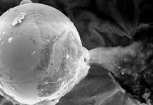 Schufen Außerirdische Leben auf der Erde? Metallkugel