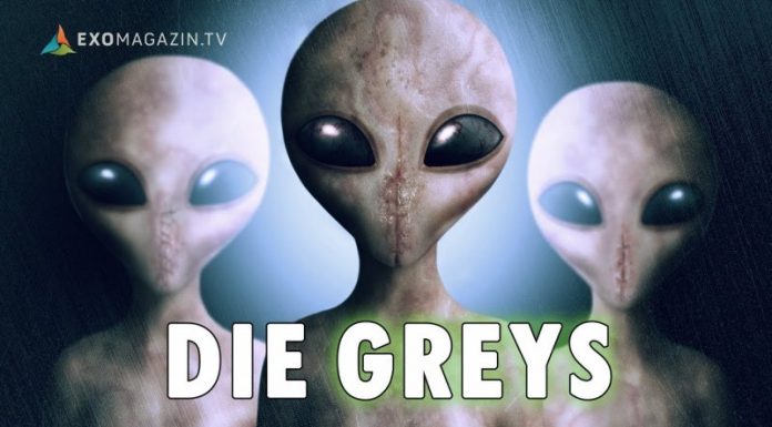 Die Greys – Entführt von Außerirdischen | ExoMagazin 201808_Marcel_Polte_-_Die_Greys